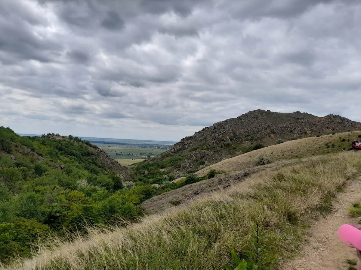 Centrul Național de Informare și Promovare Turistică Măcin - foto 4