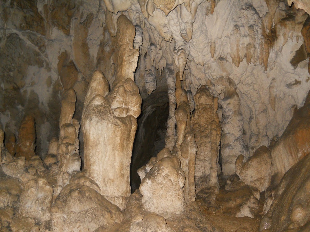 Nationales Informations- und Tourismuszentrum Uricani - foto 5