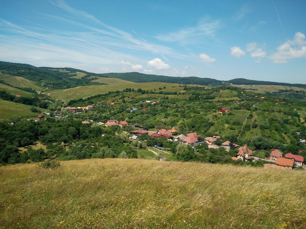 Cetate - 450m - foto 4