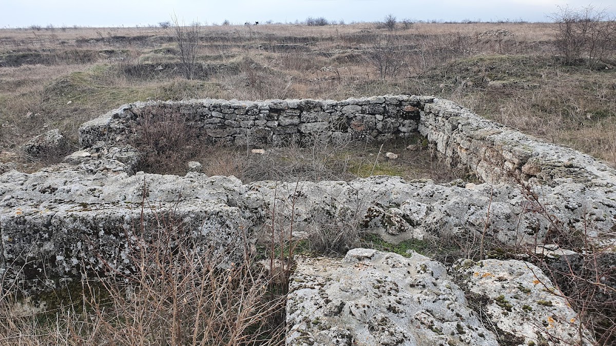 Cetatea Albești