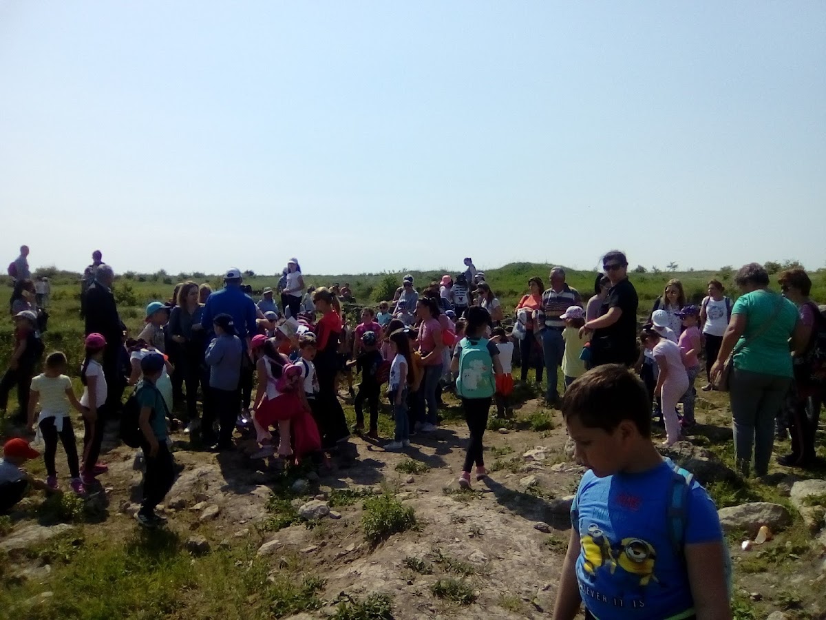 Cetatea Albești - foto 5
