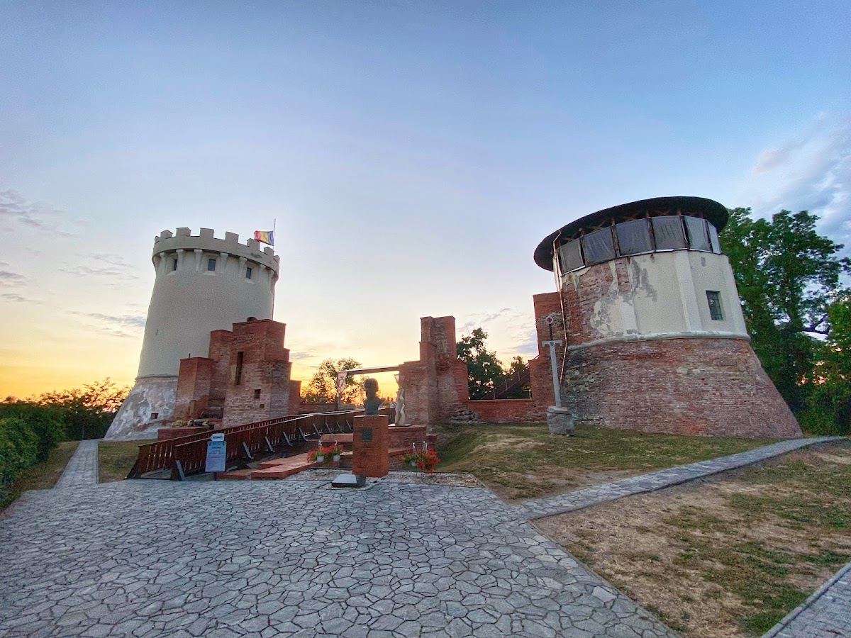 Cetatea Ardud