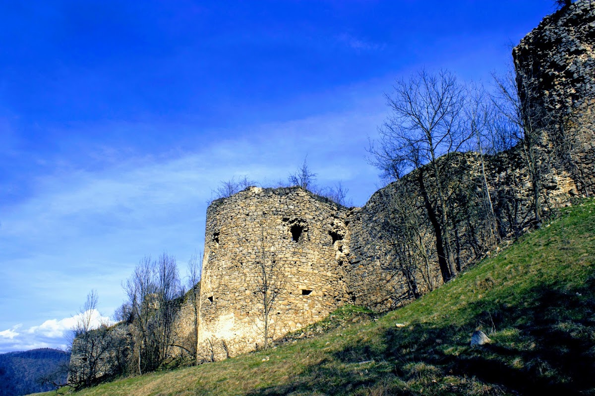 Bologa Vár - foto 3