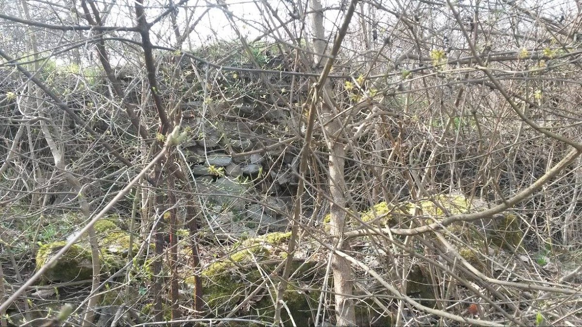 Cetatea Cladovei - foto 5