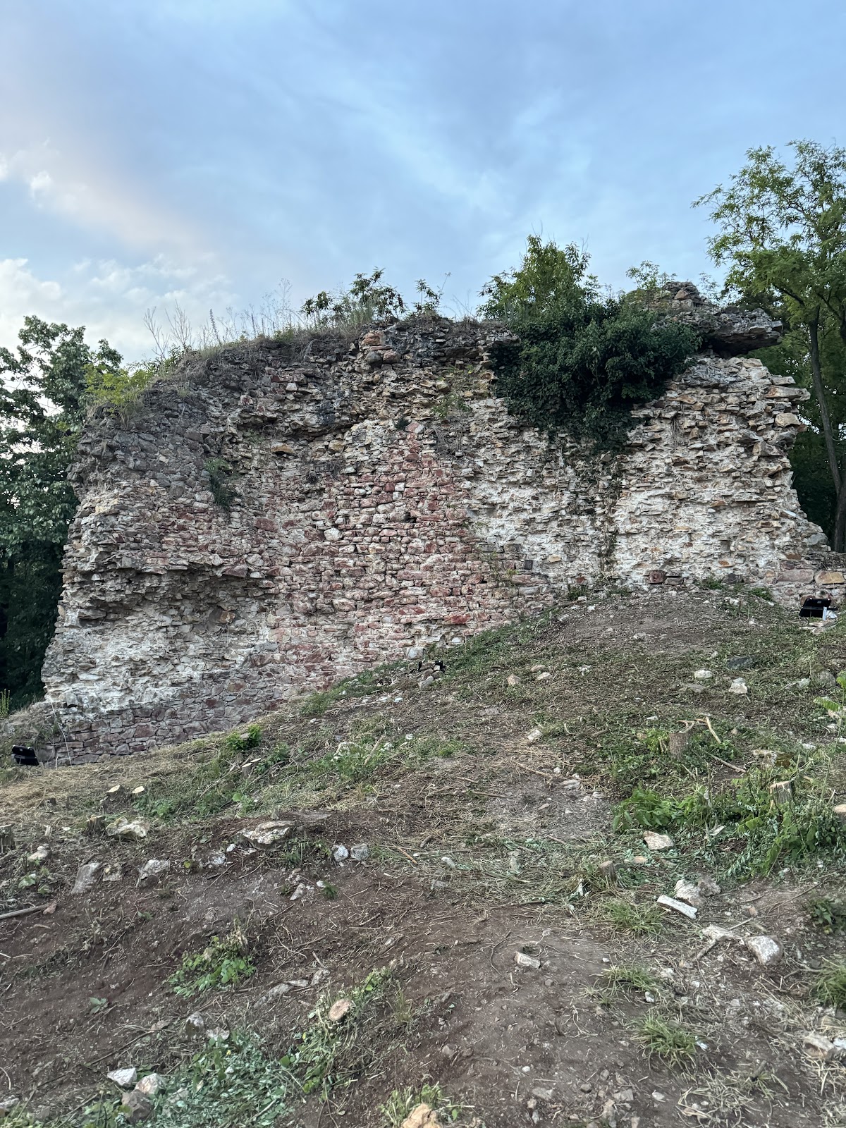 Cetatea Cuiești(Turcului)