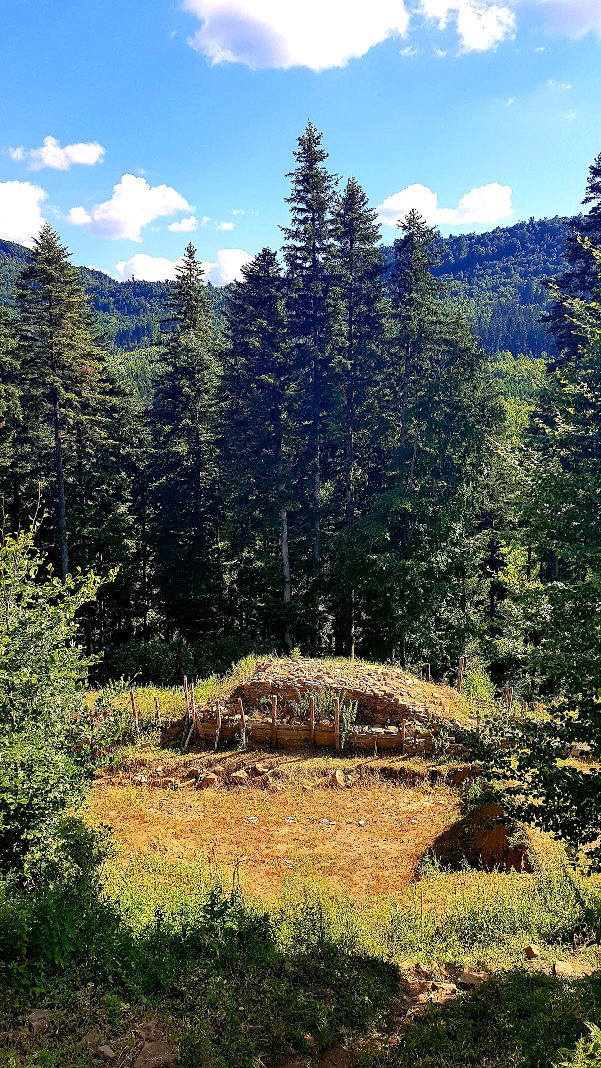 Fortezza Dacica - foto 5