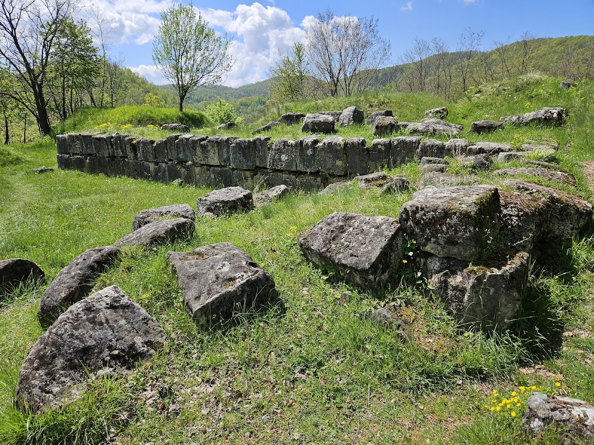 Forteresse Dacienne de Costești - foto 2