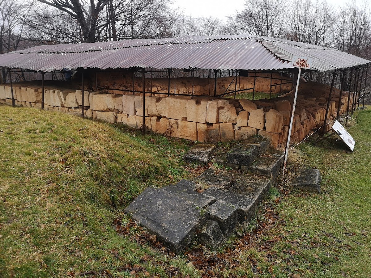 Forteresse Dacienne de Costești - foto 4
