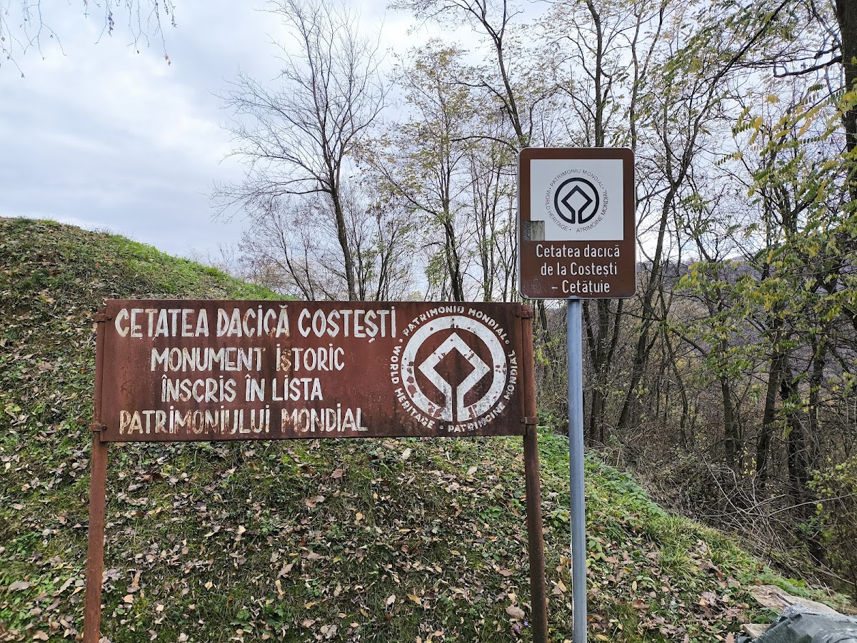 Forteresse Dacienne de Costești - foto 5