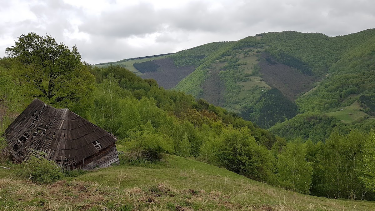 Cetatea Dacică de la Căpâlna, Căpâlna