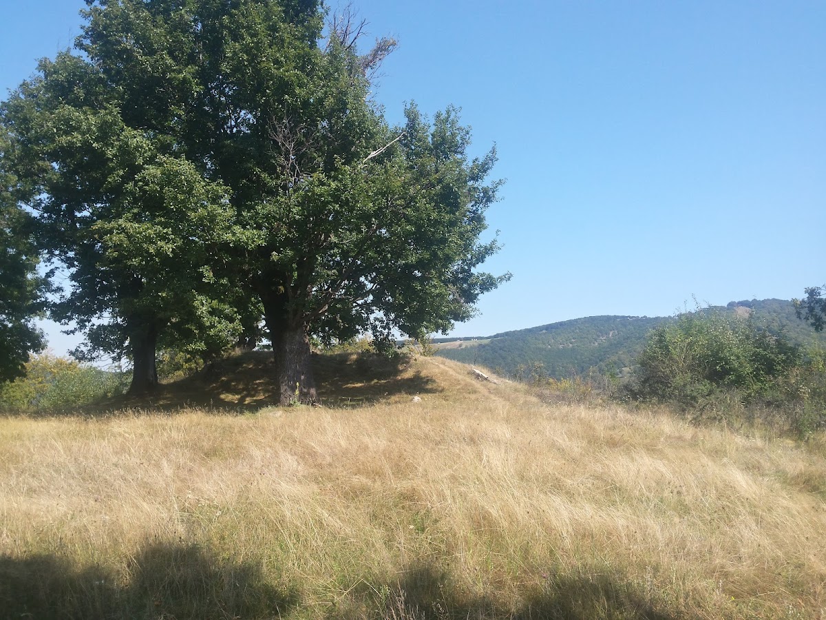 Forteresse Dacienne de Căpâlna - foto 4