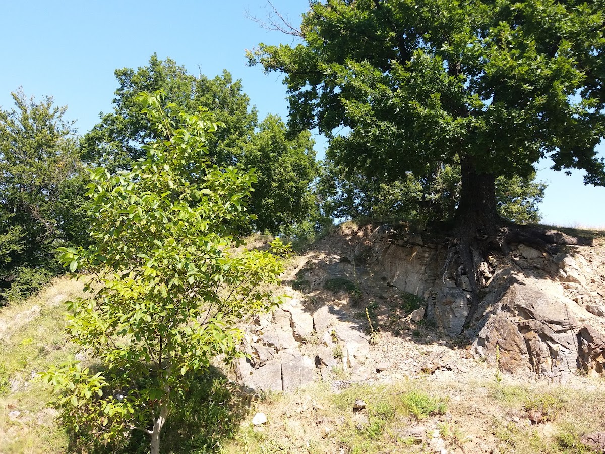 Forteresse Dacienne de Căpâlna - foto 5