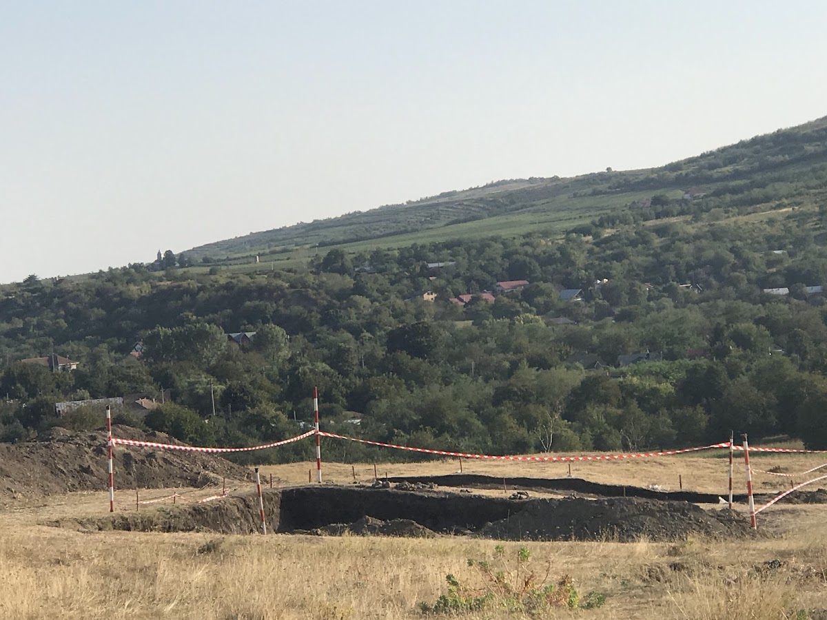 Cetatea dacică de la Cârlomănești - foto 2
