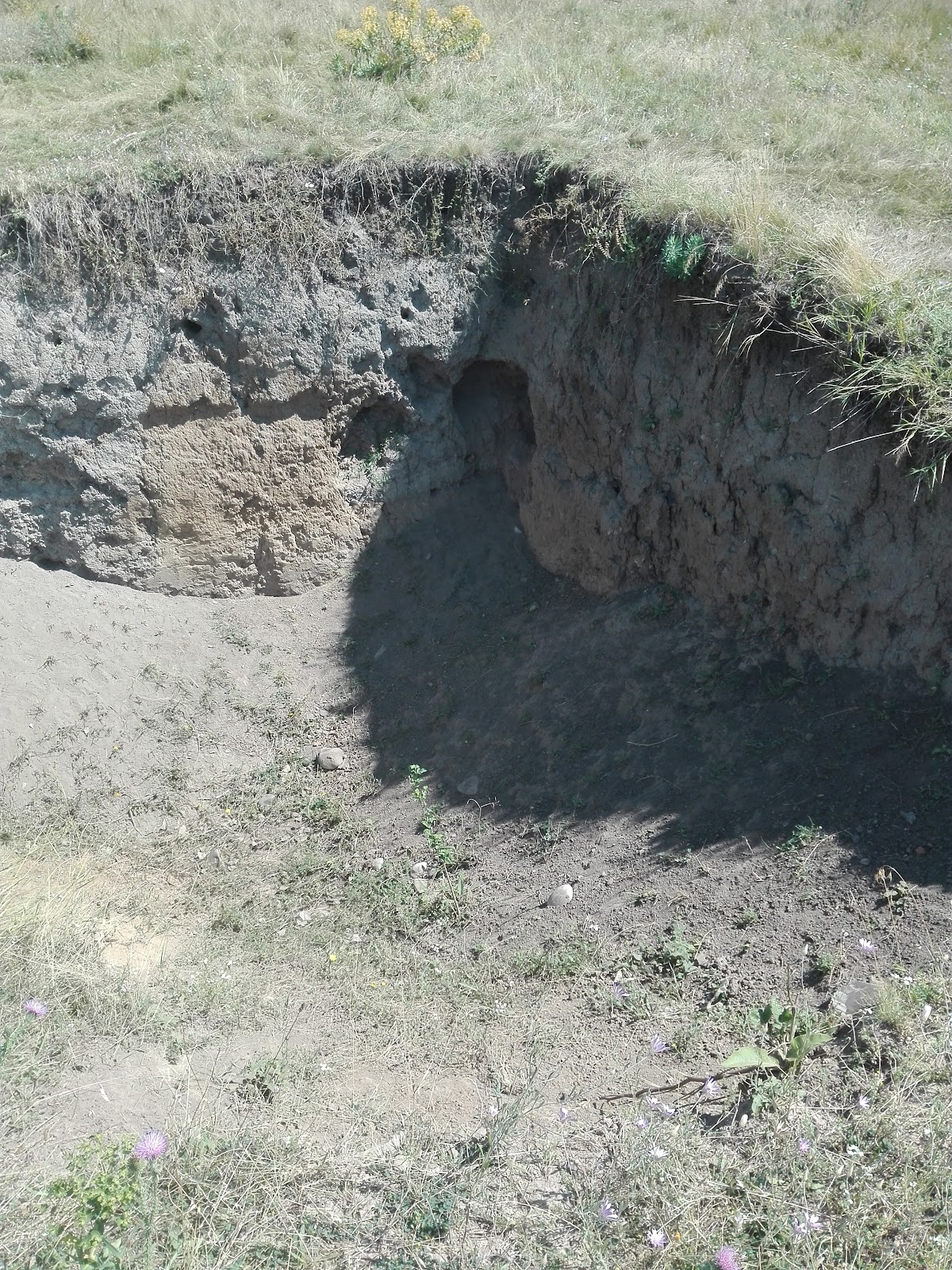 Cetatea dacică de la Cârlomănești - foto 4