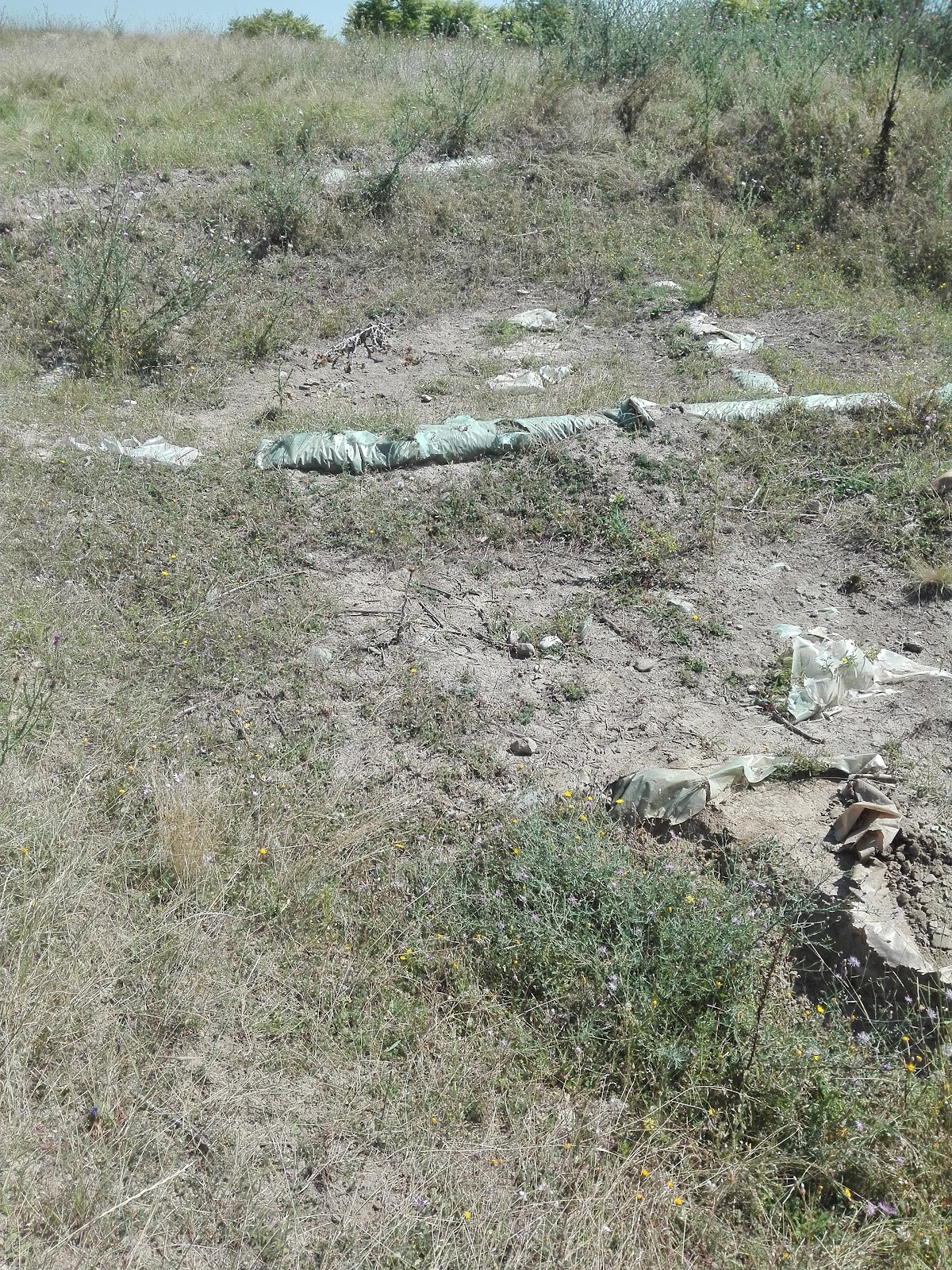 Cetatea dacică de la Cârlomănești - foto 5