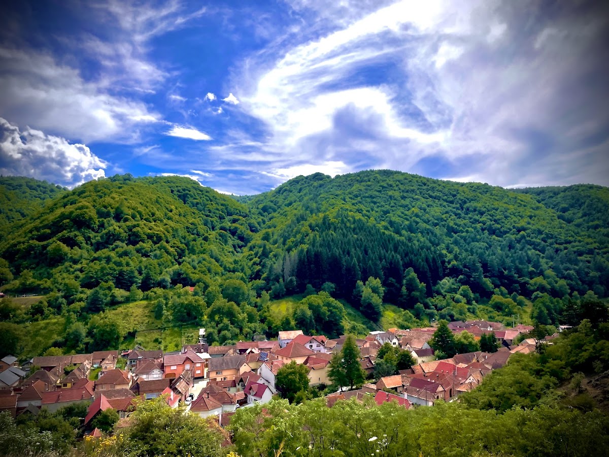 Forteresse Dacienne à Tilișca - foto 3
