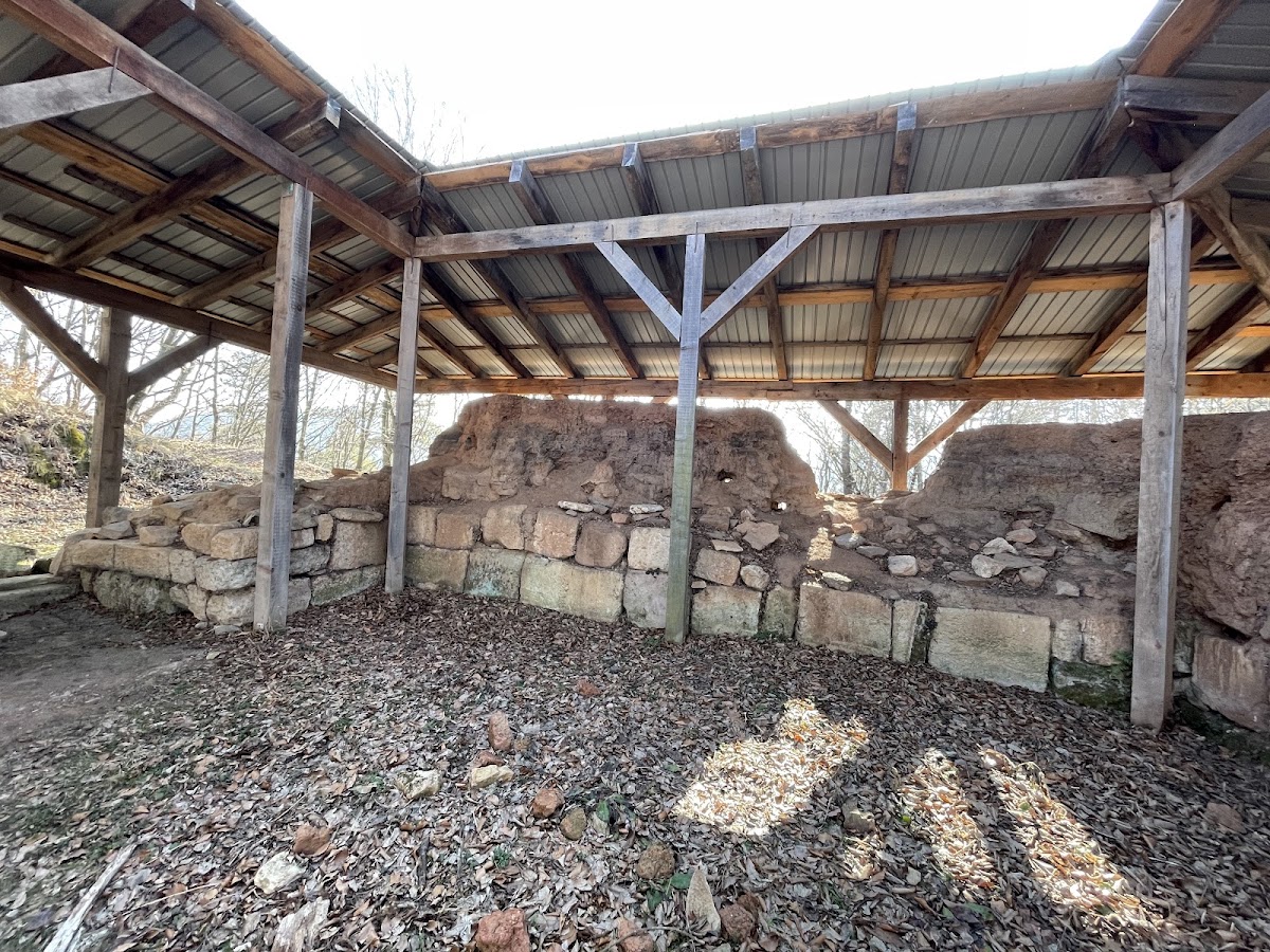 Forteresse Dacienne à Tilișca - foto 4