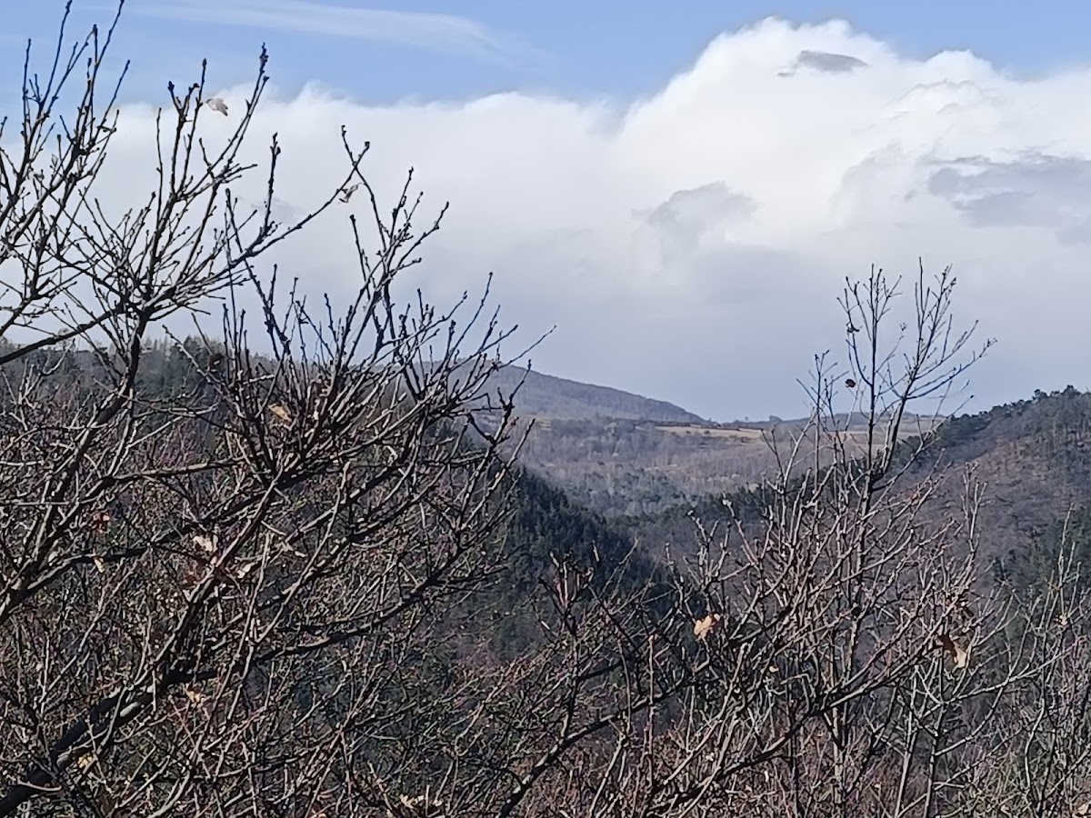Forteresse Dacienne à Tilișca - foto 5