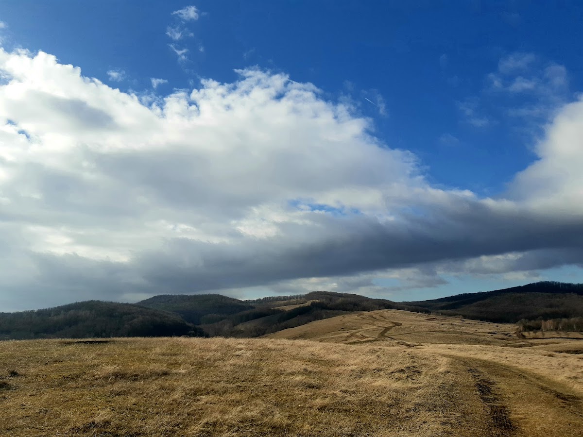 Dák Fesztivál Singidava - foto 3