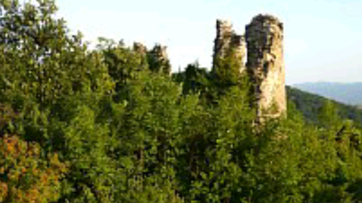 Cetatea Dezna