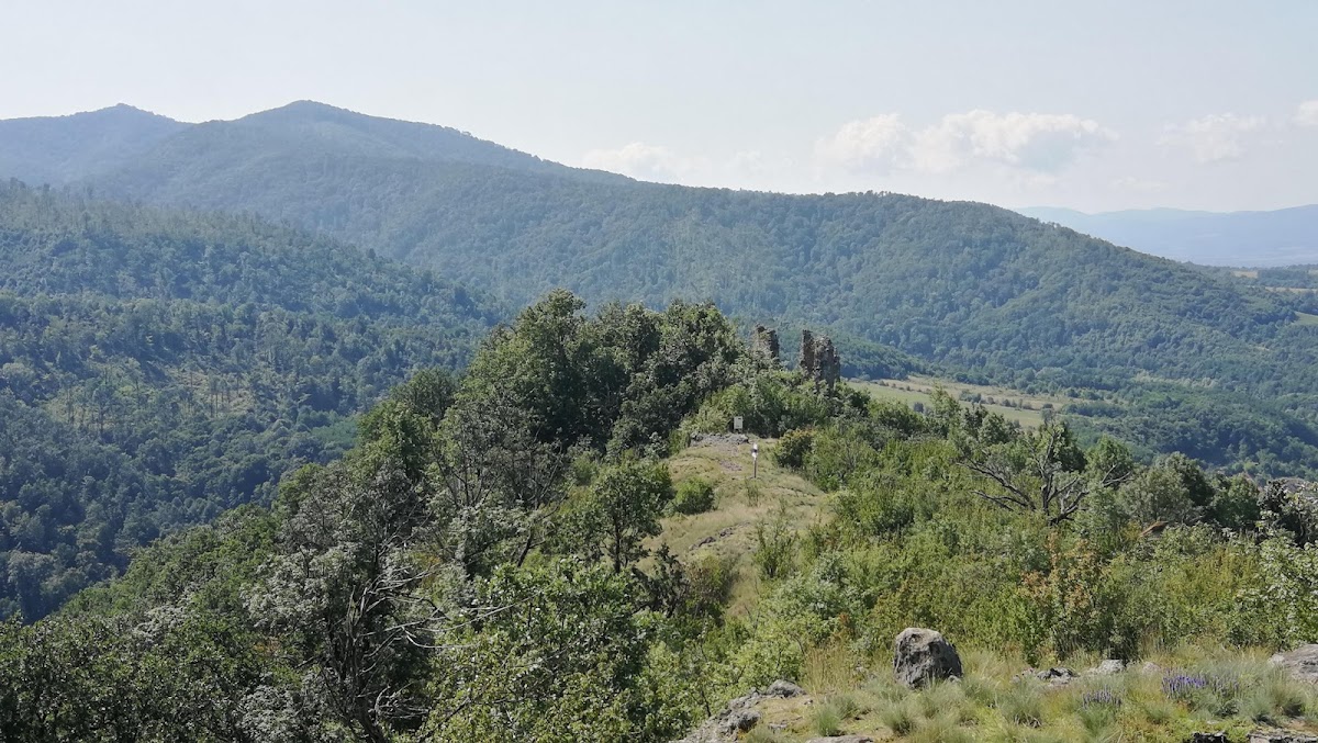 Cetatea Dezna - foto 4