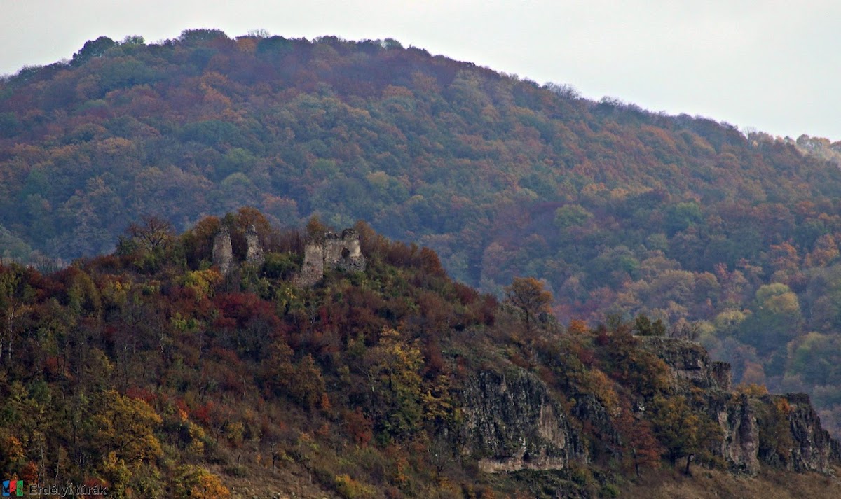 Cetatea Dezna - foto 5