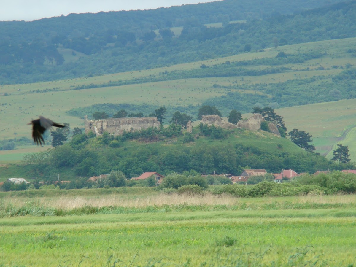 Fortaleza de Feldioara - foto 5