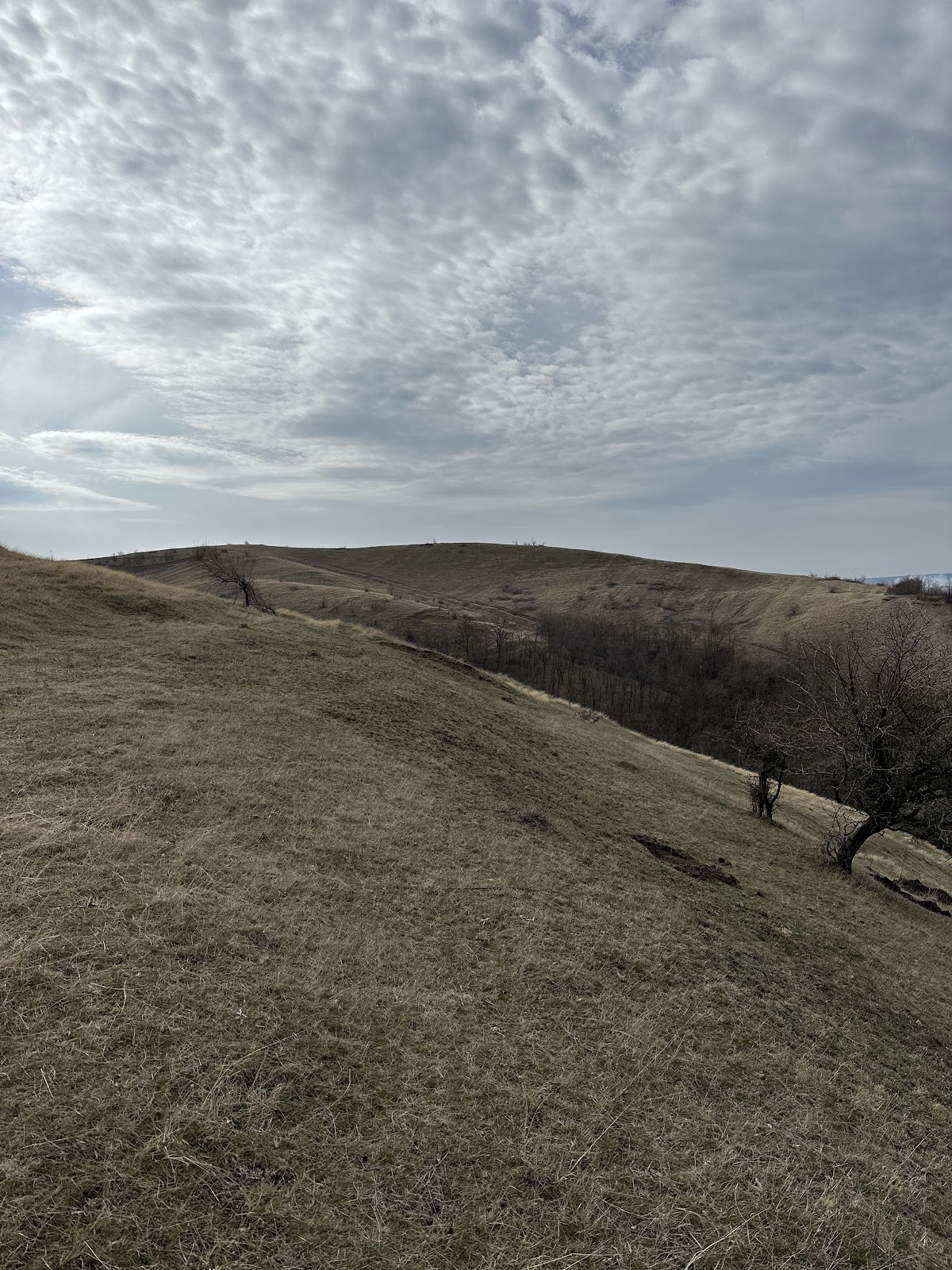 Forteresse Geto-Dacique de Buneşti - foto 5