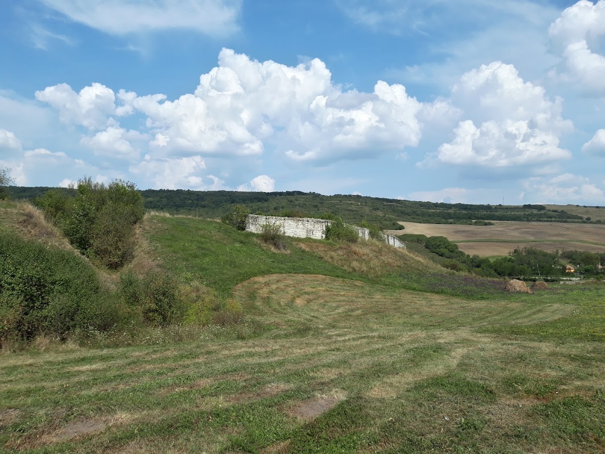 Forteresse Médiévale de Dăbâca - foto 3