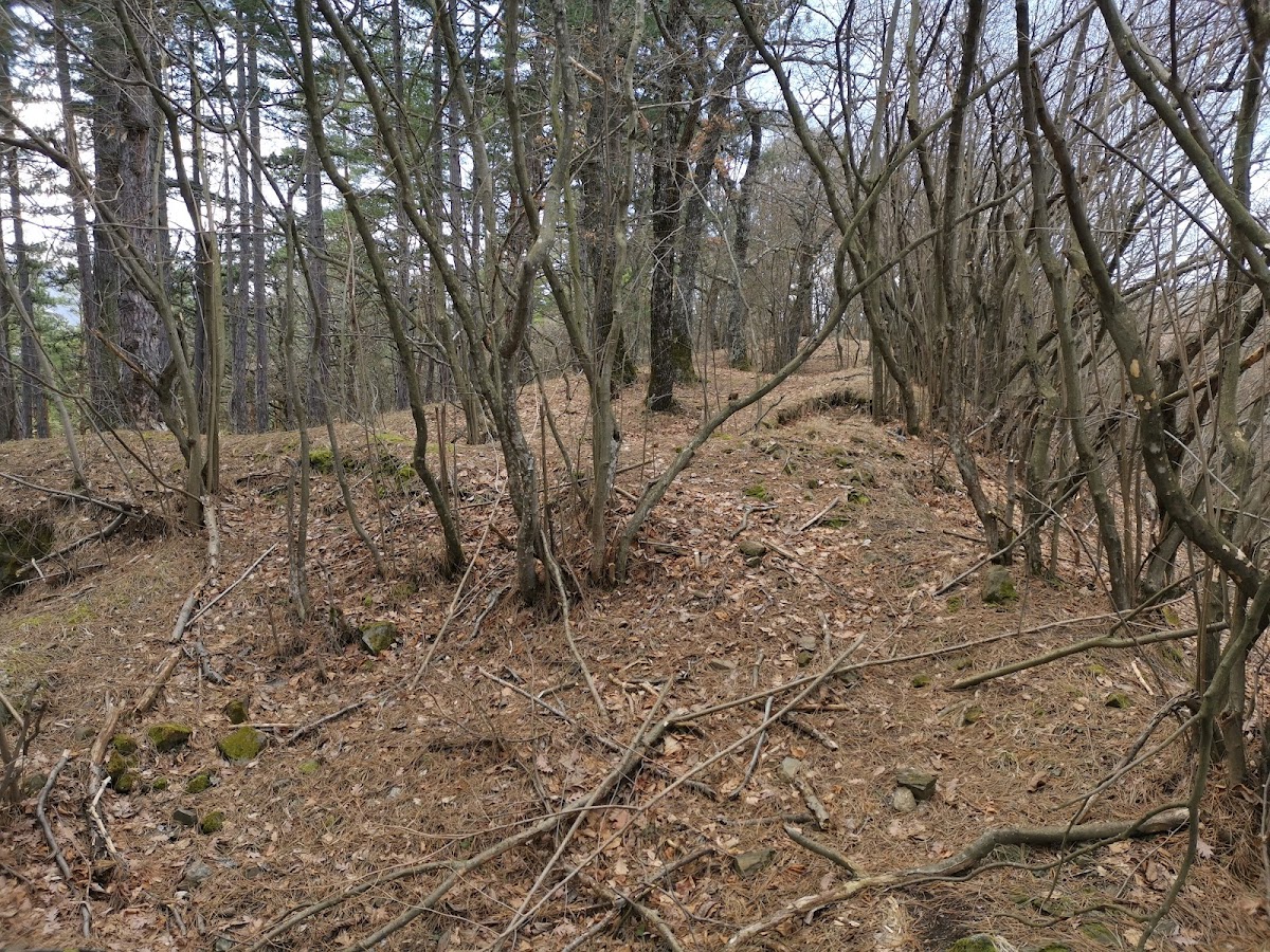 Cetatea Rășinari