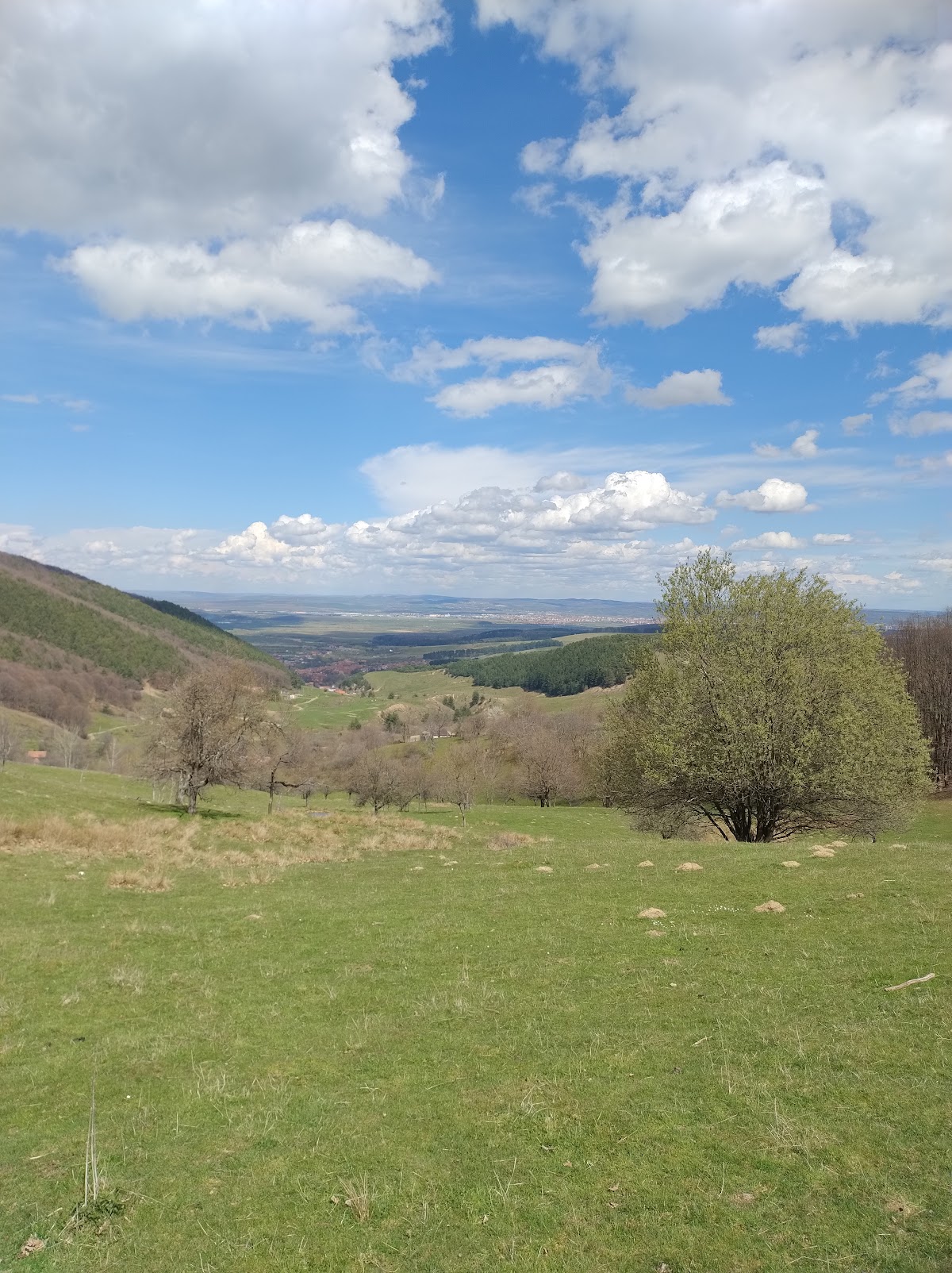 Cetatea Rășinari - foto 3