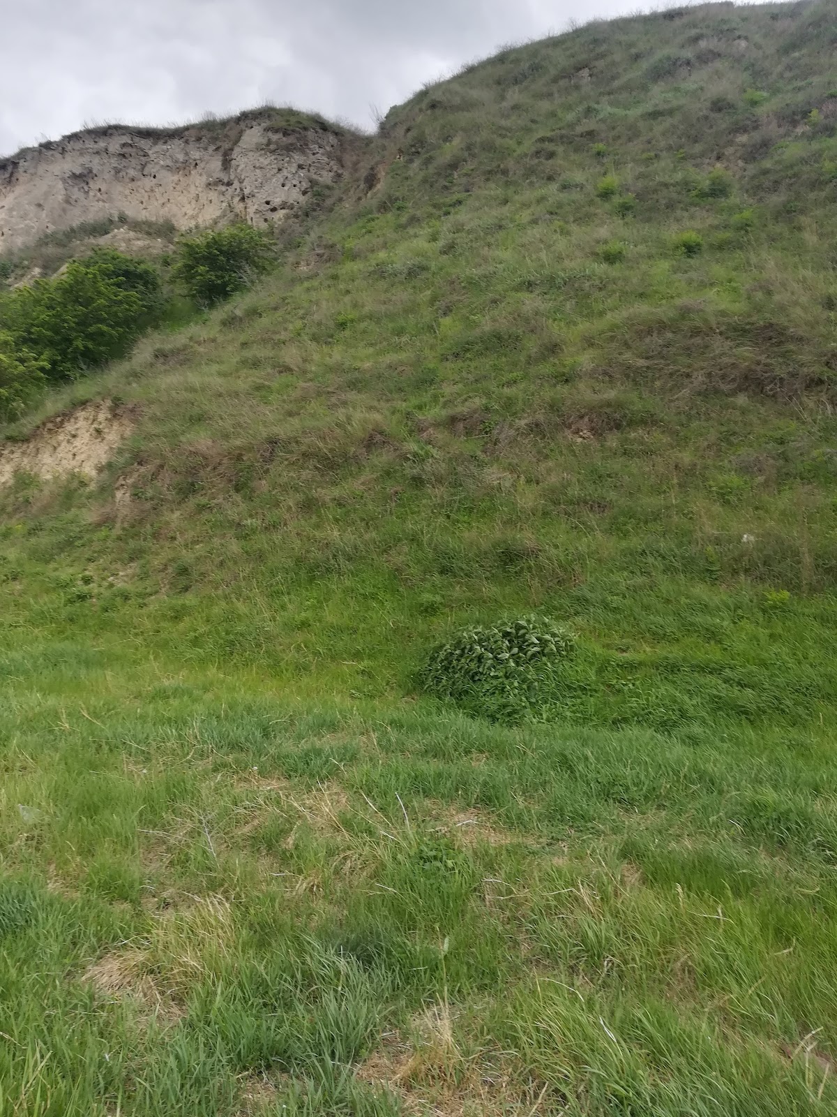 Cetatea Salsovia - foto 1