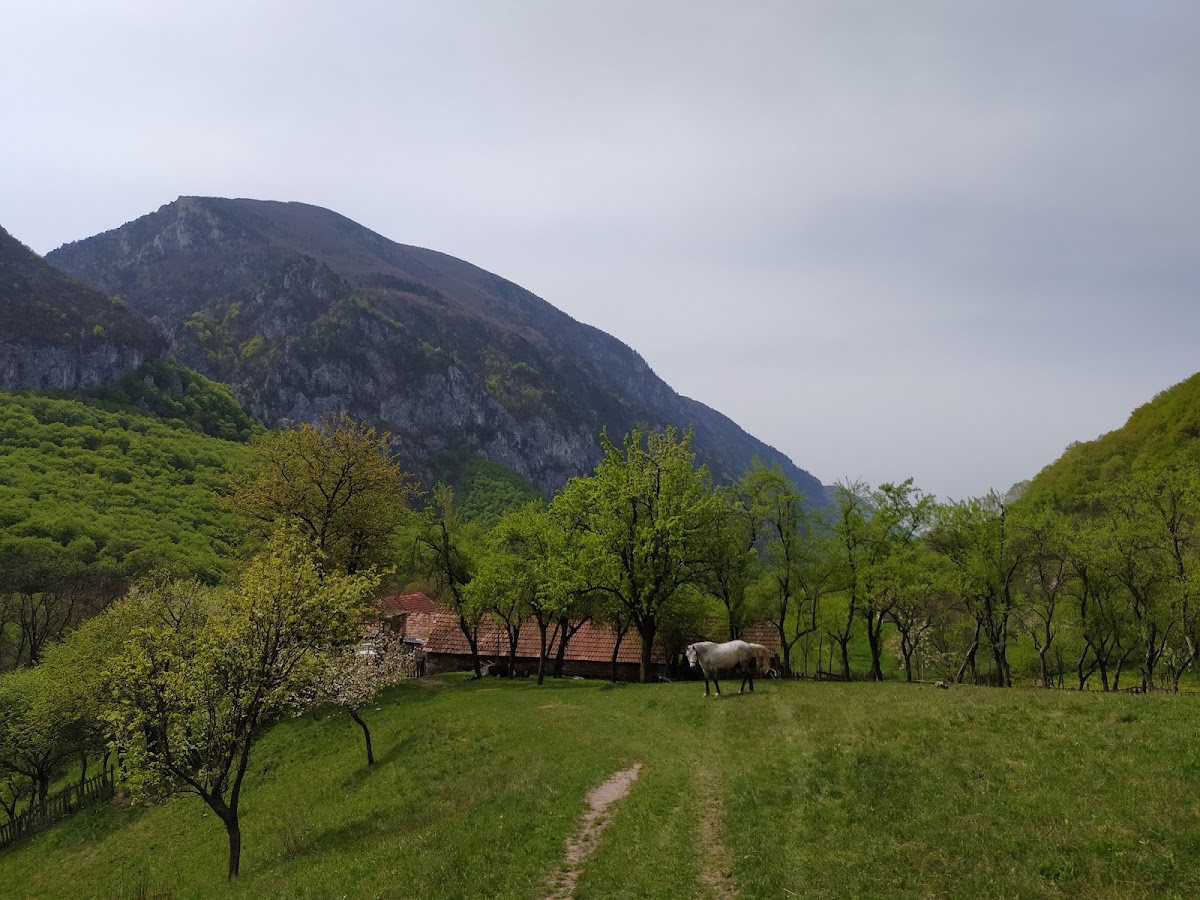 Cetatea Salsovia - foto 3