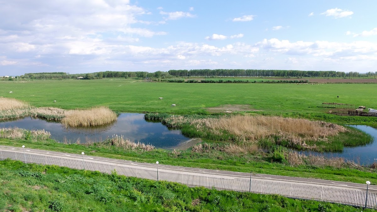 Forteresse Sucidava - foto 2