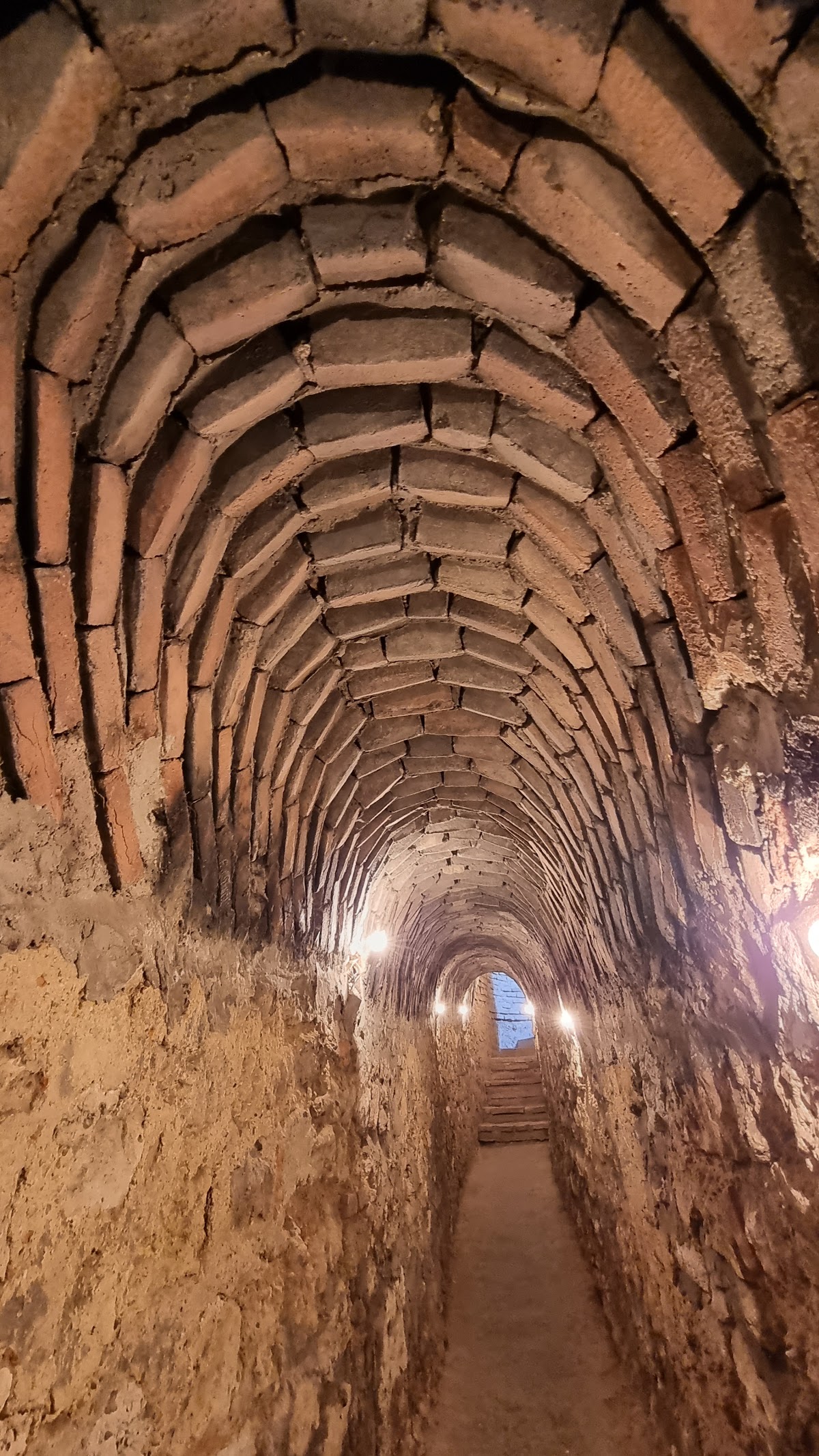 Forteresse Sucidava - foto 4