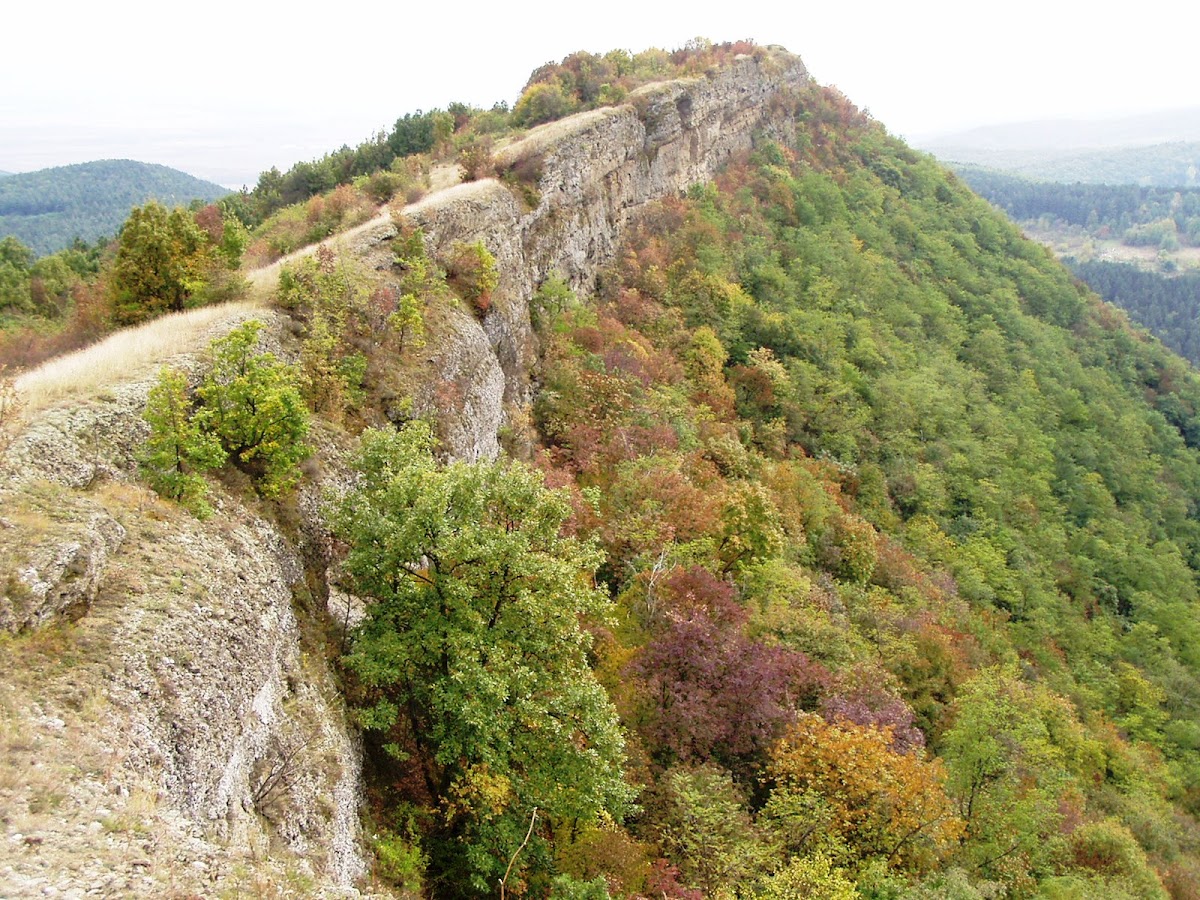 Vurpăr Fortress (Zebernicului) - foto 2