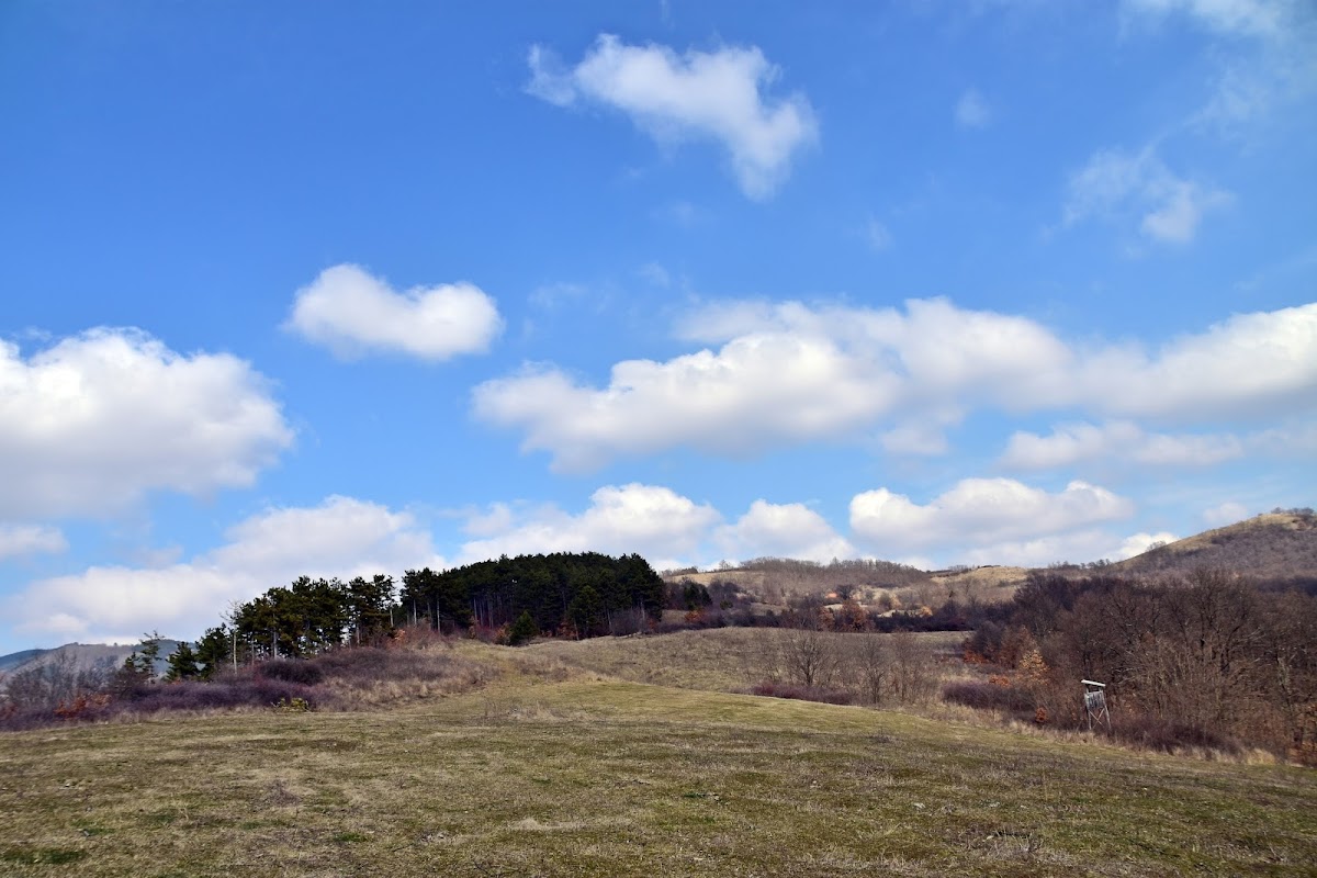 Vurpăr Fortress (Zebernicului) - foto 3