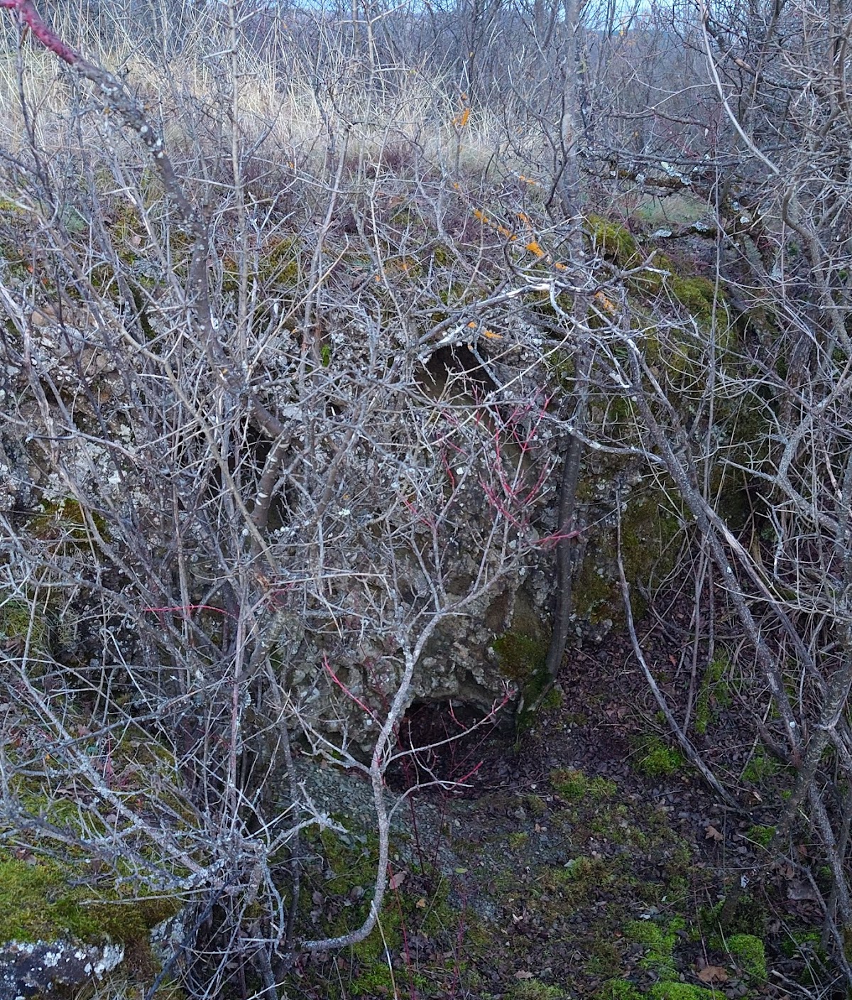 Vurpăr Fortress (Zebernicului) - foto 5