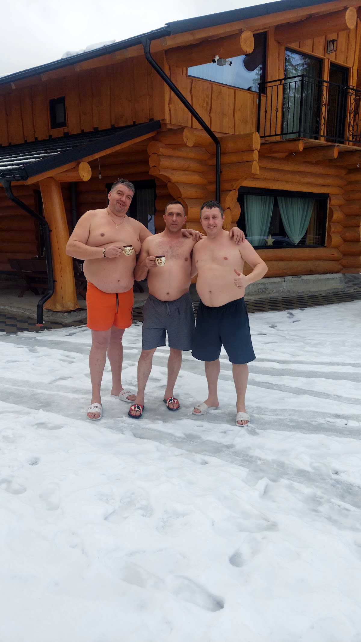 Chalet Ciocanesti