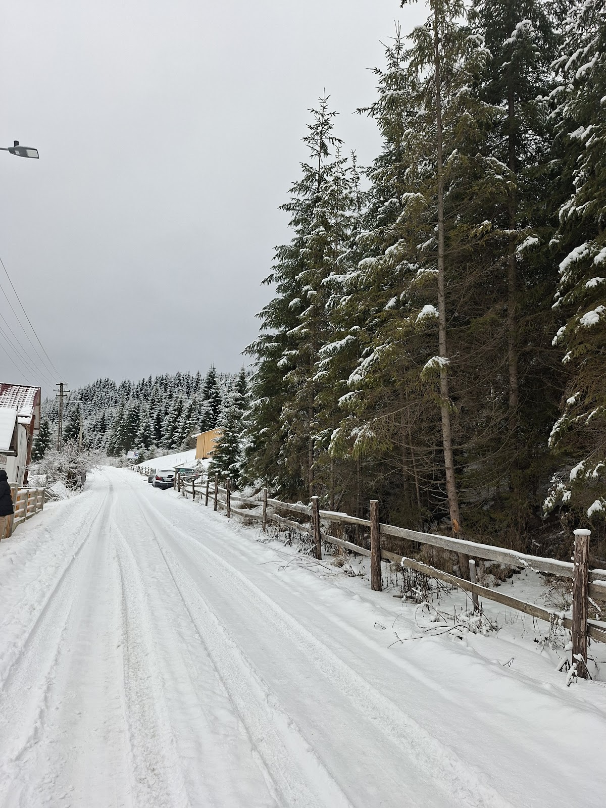 Chalet Ciocanesti