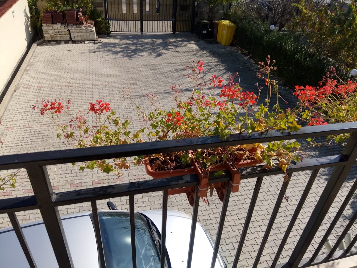 Charter Apartments-Vila Costea 3 stele