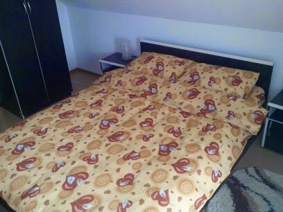 Charter Apartments-Vila Costea 3 stars