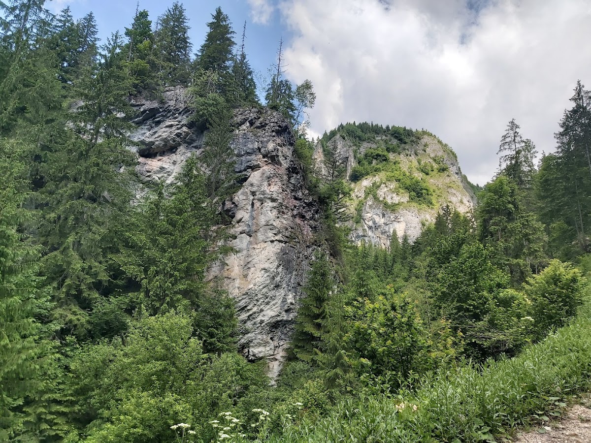 Cheile Albacului - foto 2