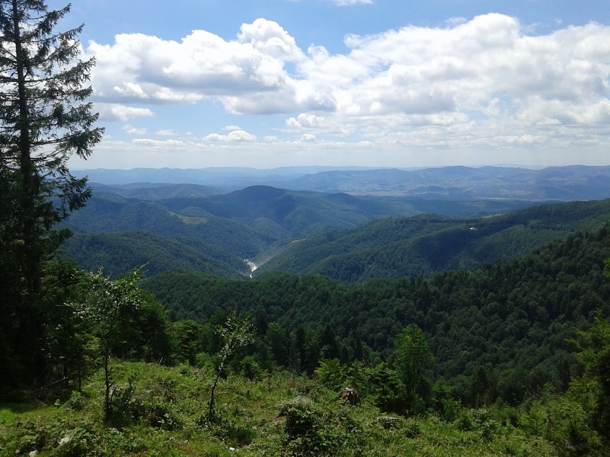 Cheile Albacului - foto 5