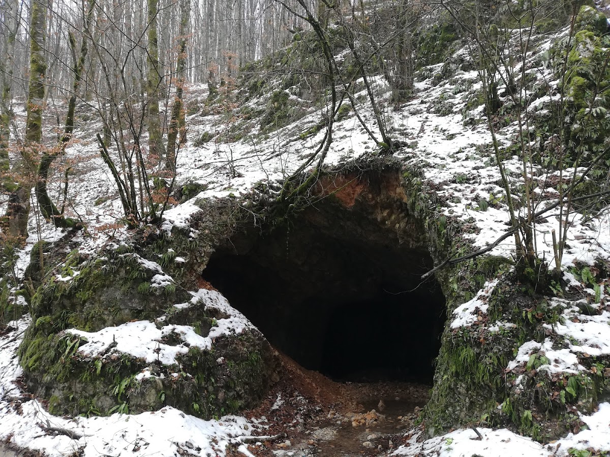 Cheile Albioarei - foto 2