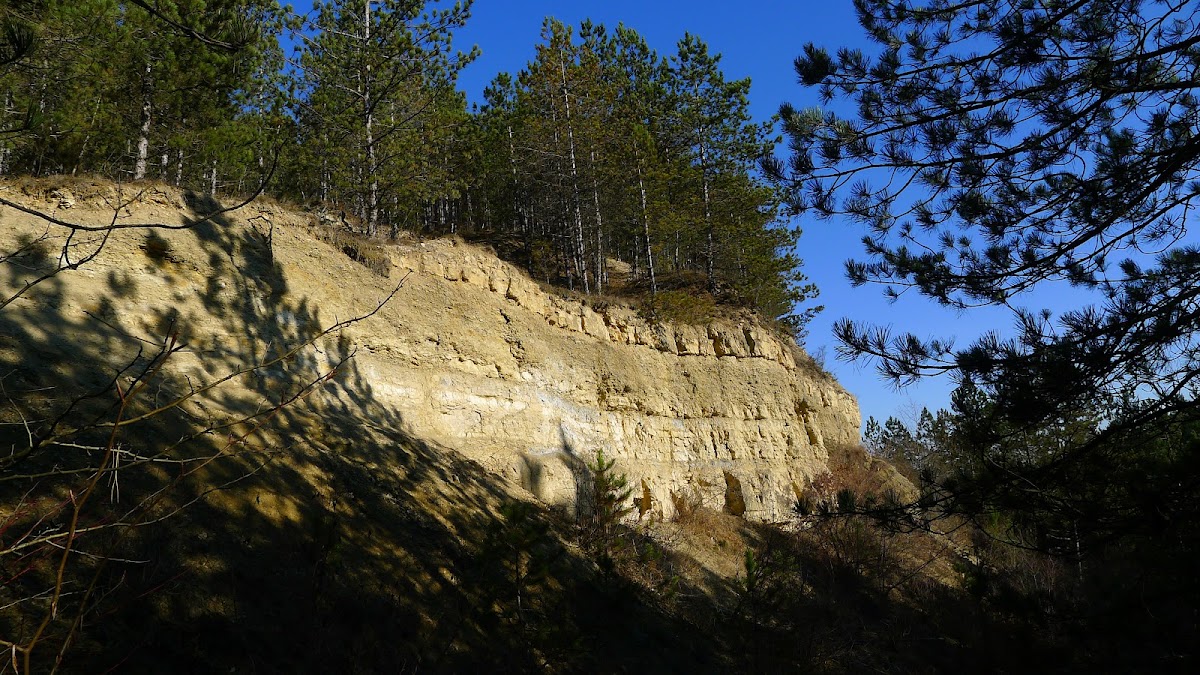 Cheile Baciului - foto 1