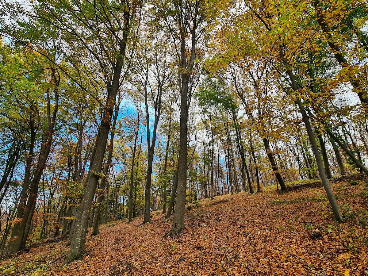 Cheile Baciului - foto 2