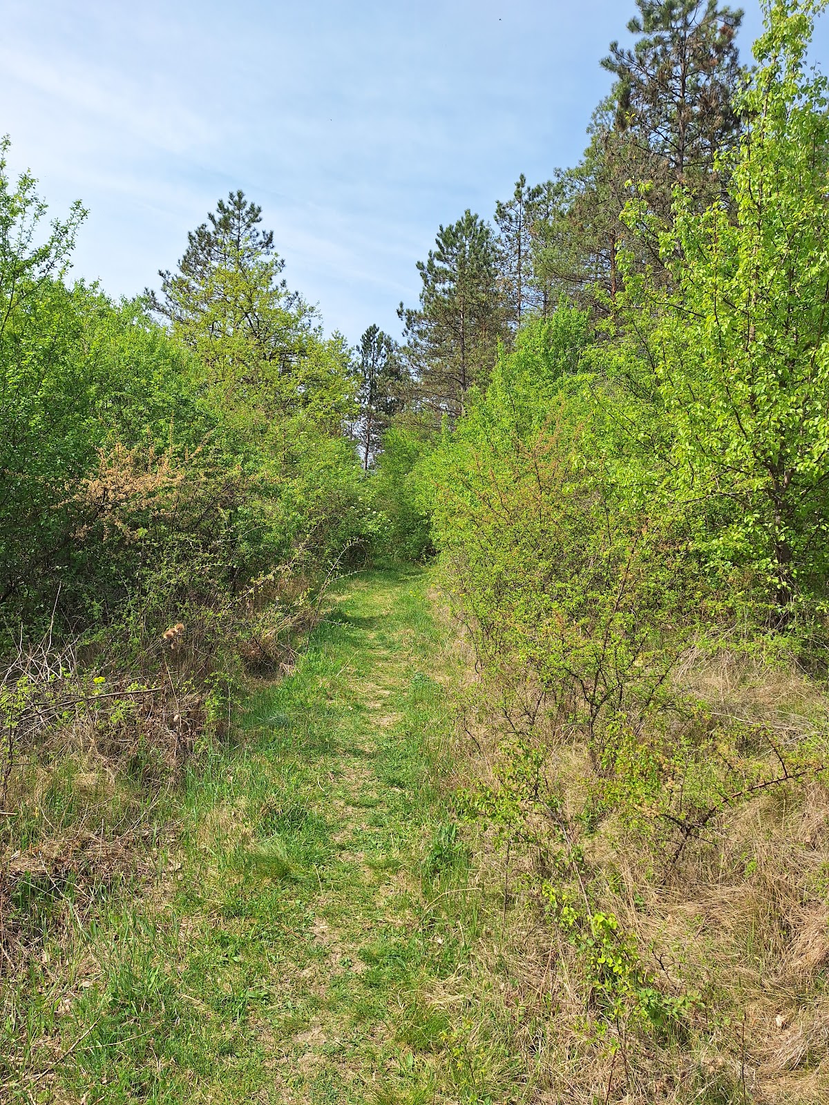 Cheile Baciului - foto 4