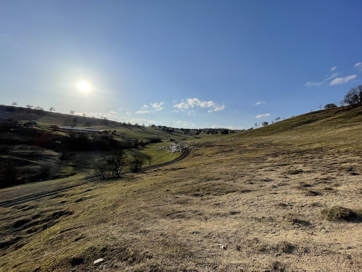 Cheile Baciului - foto 5