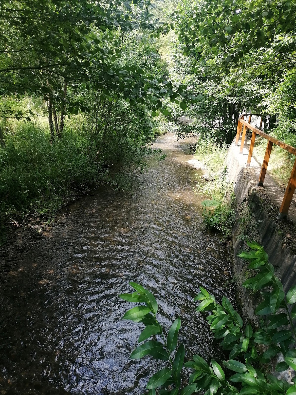 Cheile Băniței - foto 5